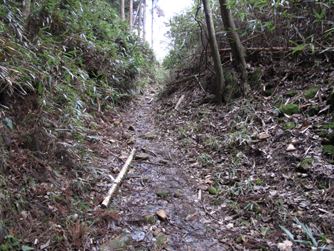 20140105hike (170)